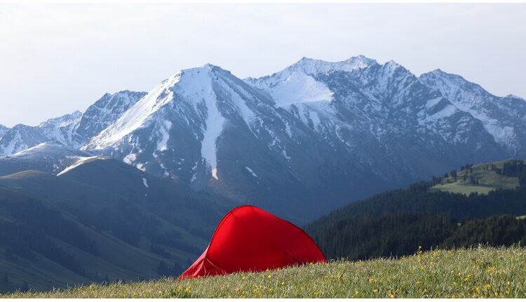 Cheap Goat Tents The Free Spirits TFS Pangolin2.0 One sided Silicon Coating 2 person 3 Season Ultralight Waterproof Camping Tent Black Label Tents 